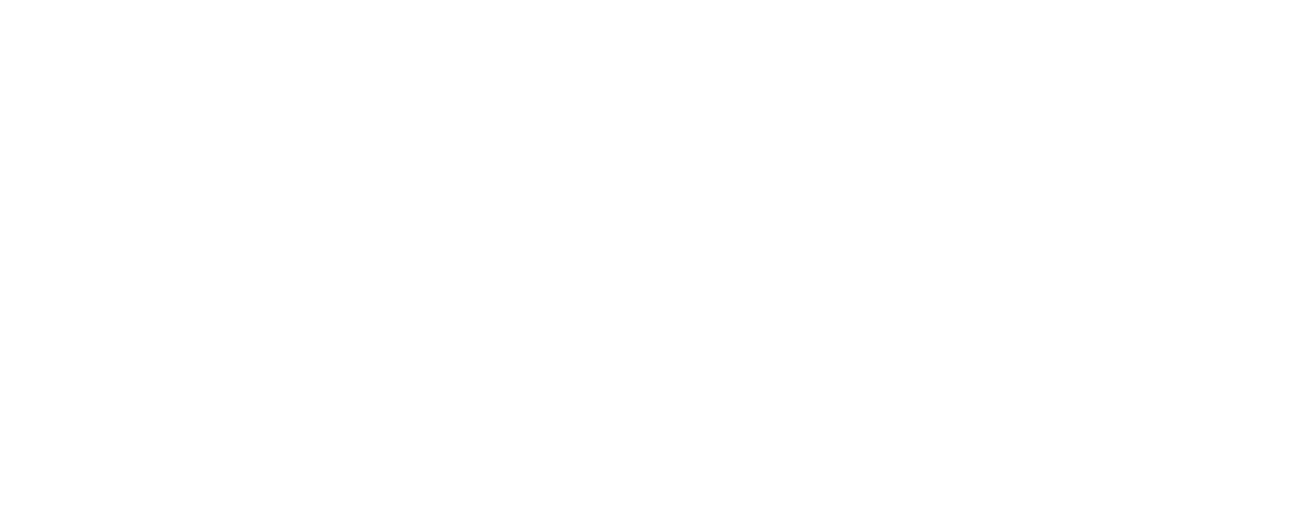 Líneas de ruta